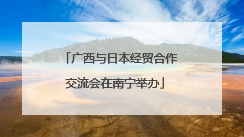 广西与日本经贸合作交流会在南宁举办