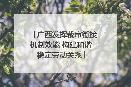 广西发挥裁审衔接机制效能 构建和谐稳定劳动关系