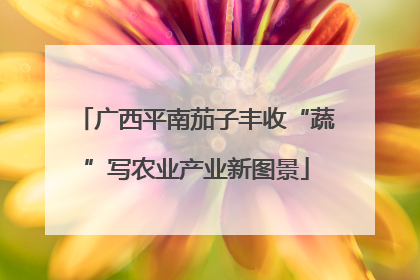 广西平南茄子丰收“蔬”写农业产业新图景
