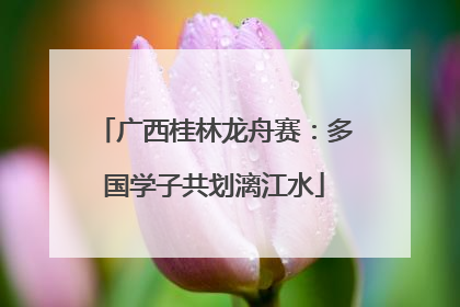 广西桂林龙舟赛：多国学子共划漓江水