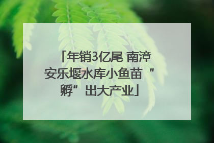 年销3亿尾 南漳安乐堰水库小鱼苗“孵”出大产业