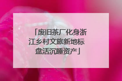 废旧茶厂化身浙江乡村文旅新地标 盘活沉睡资产