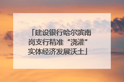 建设银行哈尔滨南岗支行精准“浇灌”实体经济发展沃土