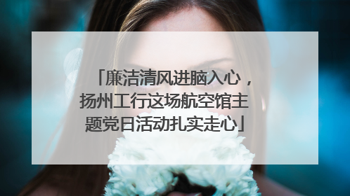 廉洁清风进脑入心，扬州工行这场航空馆主题党日活动扎实走心