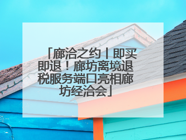 廊洽之约丨即买即退！廊坊离境退税服务端口亮相廊坊经洽会