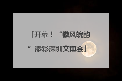 开幕！“徽风皖韵”添彩深圳文博会