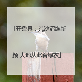 开鲁县：荒沙沼焕新颜 大地从此着绿衣
