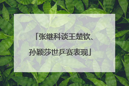 张继科谈王楚钦、孙颖莎世乒赛表现
