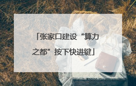 张家口建设“算力之都”按下快进键