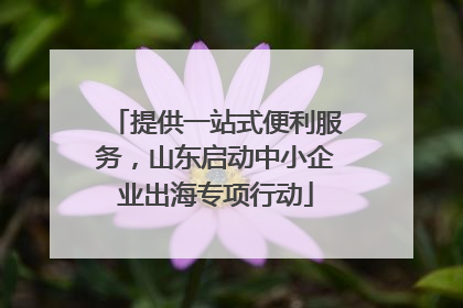 提供一站式便利服务，山东启动中小企业出海专项行动