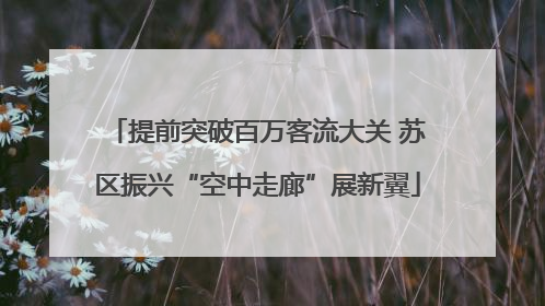 提前突破百万客流大关 苏区振兴“空中走廊”展新翼