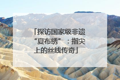 探访国家级非遗“夏布绣”：指尖上的丝线传奇