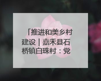 推进和美乡村建设｜嘉禾县石桥镇白珠村：党建引领破“空”局 乡贤聚力绘就新图景