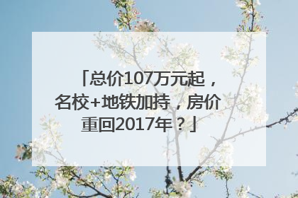 总价107万元起，名校+地铁加持，房价重回2017年？