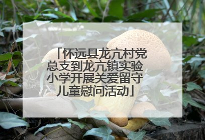 怀远县龙亢村党总支到龙亢镇实验小学开展关爱留守儿童慰问活动