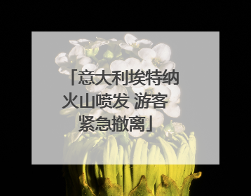 意大利埃特纳火山喷发 游客紧急撤离