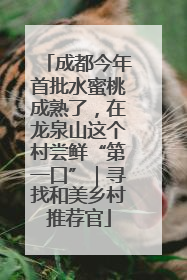 成都今年首批水蜜桃成熟了，在龙泉山这个村尝鲜“第一口”｜寻找和美乡村推荐官