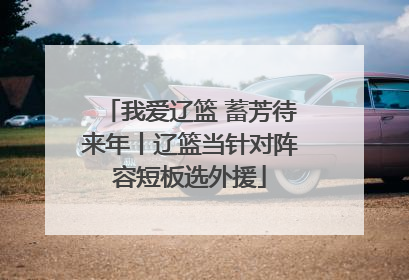 我爱辽篮 蓄芳待来年丨辽篮当针对阵容短板选外援