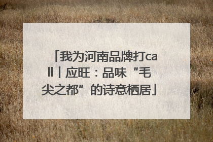 我为河南品牌打call丨应旺：品味“毛尖之都”的诗意栖居