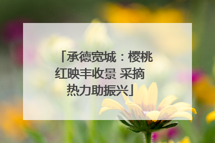 承德宽城：樱桃红映丰收景 采摘热力助振兴