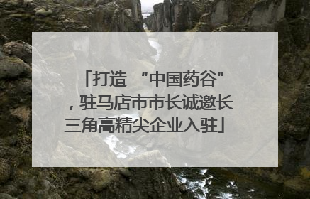 打造 “中国药谷”，驻马店市市长诚邀长三角高精尖企业入驻