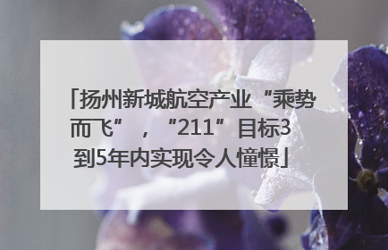 扬州新城航空产业“乘势而飞”，“211”目标3到5年内实现令人憧憬