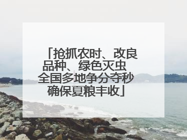抢抓农时、改良品种、绿色灭虫 全国多地争分夺秒确保夏粮丰收