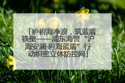 护碧海净浪，筑蓝盾铁壁——浦东海警“沪海安澜·碧海蓝盾”行动织密立体防控网