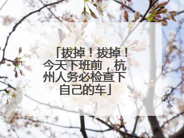 拔掉！拔掉！今天下班前，杭州人务必检查下自己的车