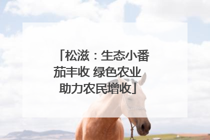 松滋：生态小番茄丰收 绿色农业助力农民增收