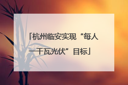 杭州临安实现“每人一千瓦光伏”目标