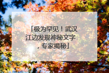 极为罕见！武汉江边发现神秘文字，专家揭秘