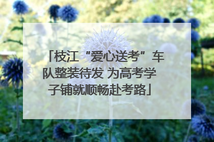 枝江“爱心送考”车队整装待发 为高考学子铺就顺畅赴考路