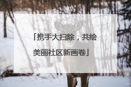 携手大扫除，共绘美丽社区新画卷