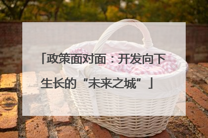政策面对面：开发向下生长的“未来之城”