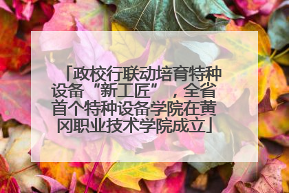 政校行联动培育特种设备“新工匠”，全省首个特种设备学院在黄冈职业技术学院成立