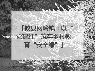 攸县网岭镇：以“党建红”筑牢乡村教育“安全绿”