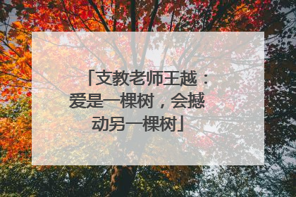 支教老师王越：爱是一棵树，会撼动另一棵树