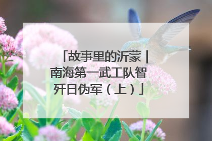 故事里的沂蒙｜南海第一武工队智歼日伪军（上）