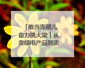 敢当弄潮儿 奋力挑大梁｜从卖绿电产品到卖“解决方案”！溧阳立足产业优势建成五大微电网示范项目