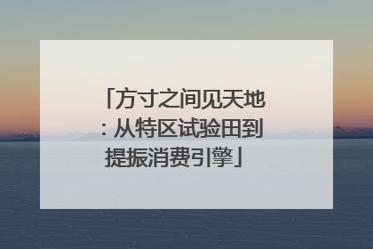 方寸之间见天地：从特区试验田到提振消费引擎