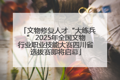 文物修复人才“大练兵” 2025年全国文物行业职业技能大赛四川省选拔赛即将启幕