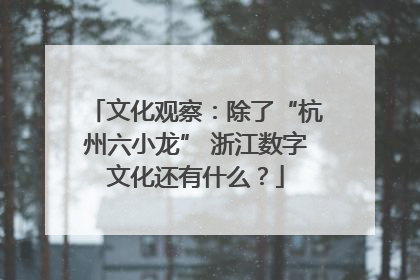 文化观察：除了“杭州六小龙” 浙江数字文化还有什么？