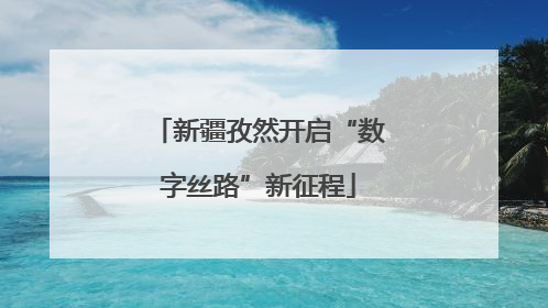 新疆孜然开启“数字丝路”新征程