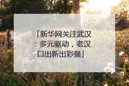 新华网关注武汉：多元驱动，老汉口出新出彩强