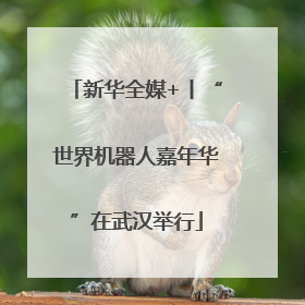新华全媒+丨“世界机器人嘉年华”在武汉举行