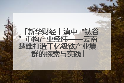 新华财经丨滇中“钛谷”重构产业经纬——云南楚雄打造千亿级钛产业集群的探索与实践