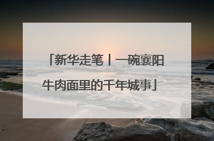 新华走笔丨一碗襄阳牛肉面里的千年城事