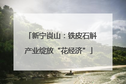 新宁崀山：铁皮石斛产业绽放“花经济”