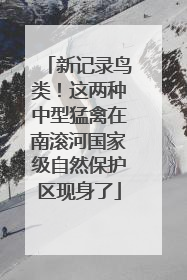 新记录鸟类！这两种中型猛禽在南滚河国家级自然保护区现身了